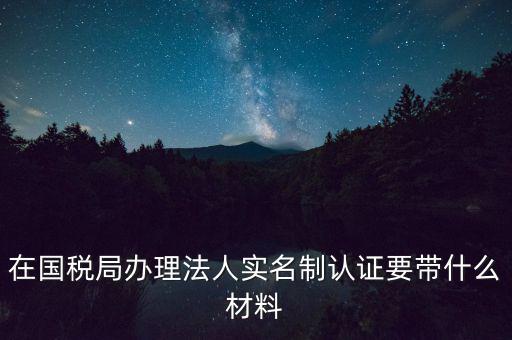 服務(wù)廳實(shí)名辦稅要帶什么，服務(wù)業(yè)辦稅務(wù)登記要些什么證件
