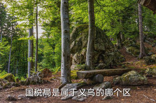 國(guó)稅總局在什么區(qū)，國(guó)家稅務(wù)總局具體地址在哪
