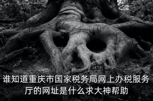 重慶稅務(wù)網(wǎng)站是什么，那個(gè)小型企業(yè)網(wǎng)上申報(bào)稅務(wù)的網(wǎng)站是多少啊發(fā)了一張流程表上