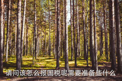 請(qǐng)問該怎么報(bào)國稅呢需要準(zhǔn)備些什么