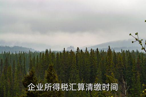 匯算清繳什么時候，個人所得稅匯算清繳的時間一定是次年的3月31日前