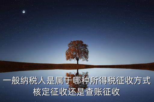 一般納稅人屬于什么，什么是一般納稅人