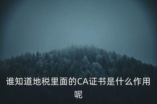 地稅的ca證書是什么，什么是聯(lián)通ca證書地稅ca證書