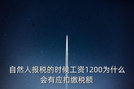 自然人報稅為什么，自然人辦稅服務(wù)平臺實名注冊的目的是什么