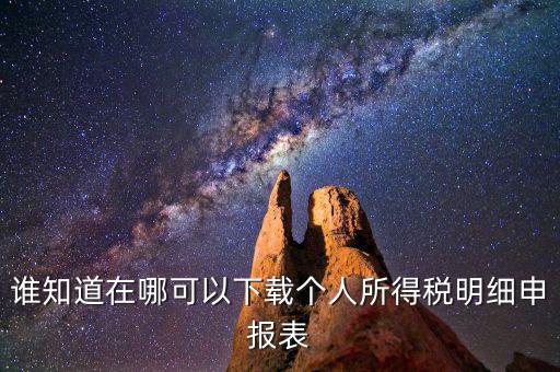 誰知道在哪可以下載個人所得稅明細(xì)申報(bào)表