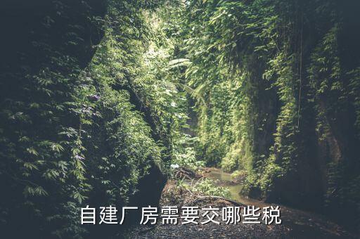 建廠房需要交什么稅，自建廠房需要交哪些稅