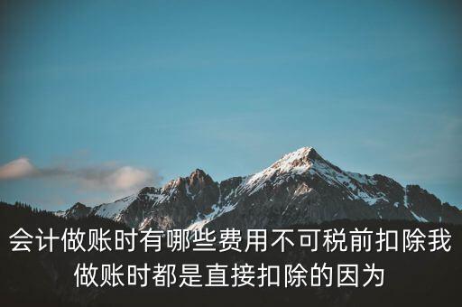 什么不可以稅前扣除嗎，納稅人哪些支出不能在企業(yè)所得稅前扣除