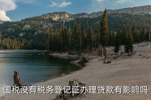 國稅未實名會影響什么，稅務未實名認證對負責人有影響么