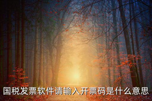 開票二維碼是什么軟件，天津國稅通用機(jī)打發(fā)票二維碼包含的內(nèi)容解碼軟件