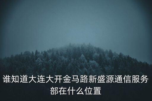 信息服務(wù)部可以叫什么地方，誰知道大連大開金馬路新盛源通信服務(wù)部在什么位置