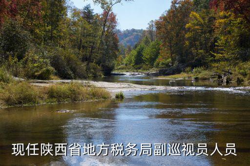 稅務(wù)局調(diào)研員是什么，一個(gè)縣區(qū)的稅務(wù)系統(tǒng)的局長職位是調(diào)研員還是主任科員