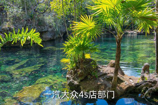 宋蘭去什么部門了，國(guó)家稅務(wù)總局的副局長(zhǎng)宋蘭身體很豐滿