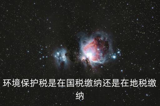 什么是環(huán)境保護(hù)稅納稅人，環(huán)境稅是什么意思