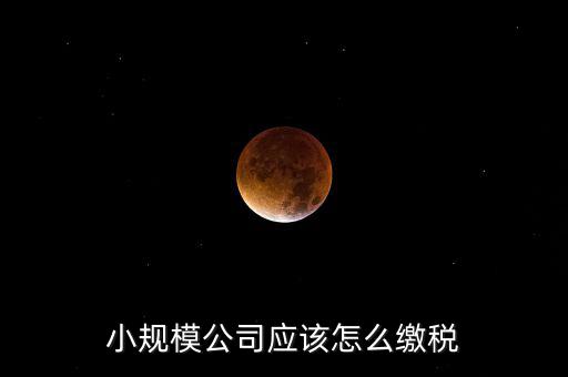 小規(guī)模公司按什么交稅嗎，一個(gè)小規(guī)模納稅公司國稅和地稅應(yīng)該都分別交什么稅