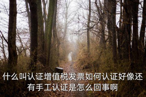什么叫發(fā)票認證，什么叫認證增值稅發(fā)票如何認證好像還有手工認證是怎么回事啊