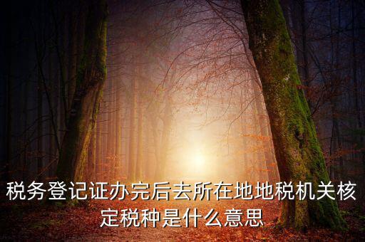 稅務(wù)登記證辦完后去所在地地稅機關(guān)核定稅種是什么意思