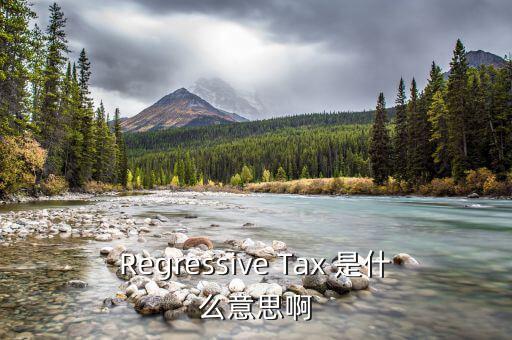 什么是稅收穿透，passthrough taxation是什么意思是直接繳稅嘛