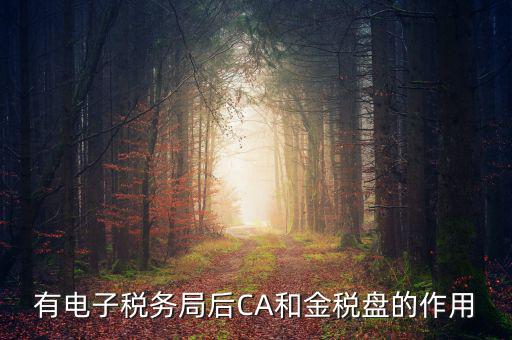 電子稅務局有什么用，有電子稅務局后CA和金稅盤的作用