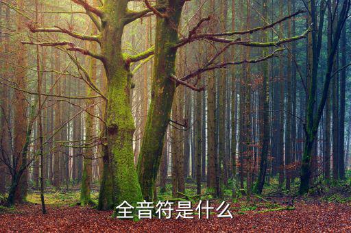 一戶式是什么，服裝SKU是指什么有什么實(shí)際應(yīng)用意義