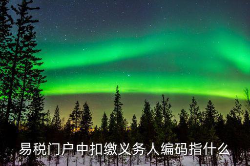 扣繳義務人識別碼是什么，易稅門戶中扣繳義務人編碼指什么