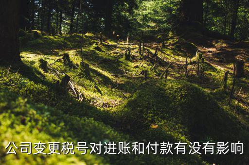 換稅號(hào)注意什么，公司變更稅號(hào)對(duì)進(jìn)賬和付款有沒有影響