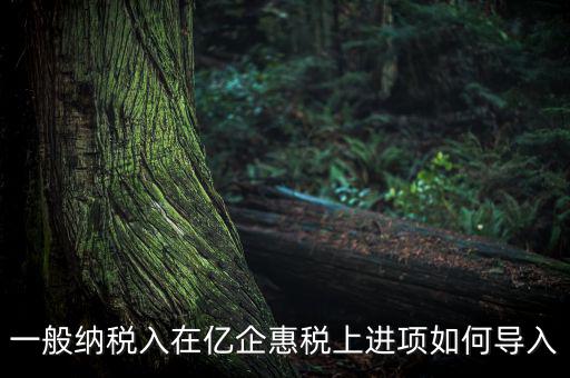 易企惠稅是什么軟件，我們公司就一個(gè)百旺金賦的稅控盤和億企惠稅的網(wǎng)上申報(bào)系統(tǒng)每月怎么