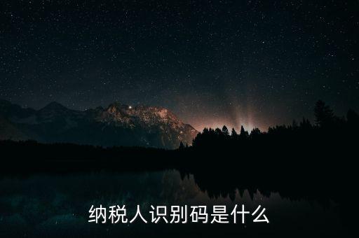 網(wǎng)上報(bào)稅納稅人識(shí)別碼是什么，納稅人識(shí)別碼是什么