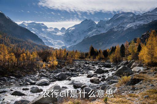 農行cif是什么意思