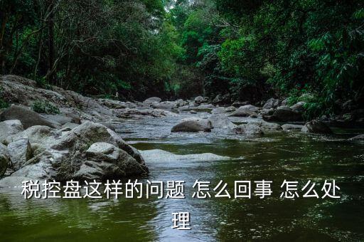 為什么稅控盤升級(jí)，稅控盤這樣的問題 怎么回事 怎么處理