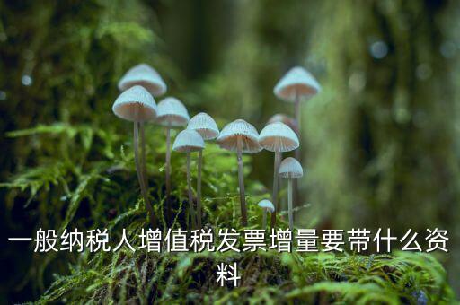 增加開票人需要什么資料，申請開票人變更需要哪些材料