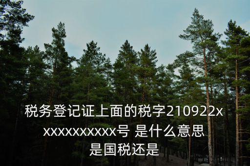 稅號91和92什么區(qū)別，納稅人識別號與稅號有區(qū)別嗎