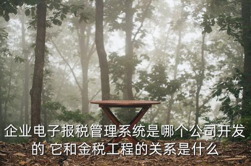 企業(yè)電子報(bào)稅管理系統(tǒng)是哪個(gè)公司開(kāi)發(fā)的 它和金稅工程的關(guān)系是什么