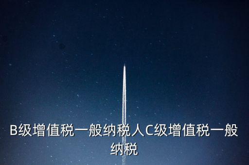 納稅用戶c級企業(yè)是什么意思，B級增值稅一般納稅人C級增值稅一般納稅