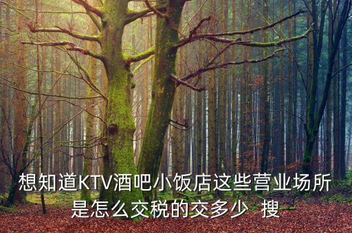 ktv交納什么稅，想知道KTV酒吧小飯店這些營業(yè)場所是怎么交稅的交多少  搜