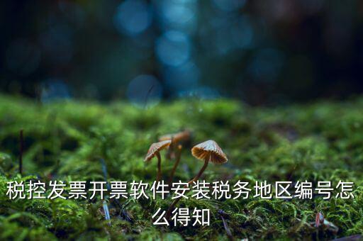 發(fā)票地區(qū)編號(hào)填什么，稅控發(fā)票開票軟件安裝稅務(wù)地區(qū)編號(hào)怎么得知
