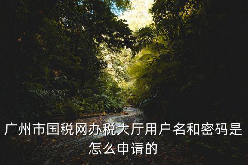廣州國稅官網(wǎng)登錄密碼是什么原因，國稅第一次網(wǎng)上申報的登陸密碼是什么