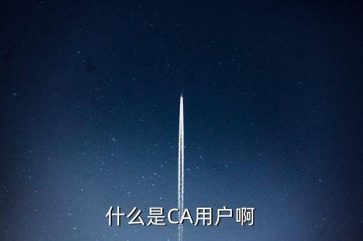 稅務(wù)總局ca系統(tǒng)是什么意思，Ca是什么