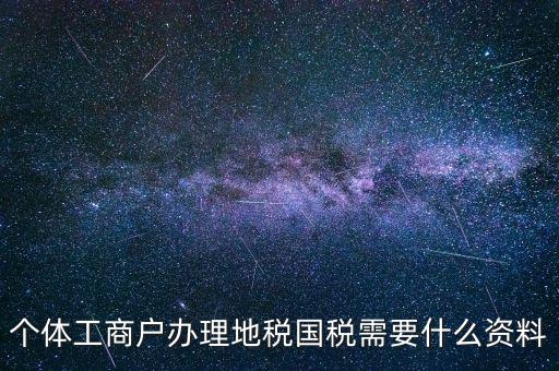 個(gè)體工商戶(hù)辦理地稅國(guó)稅需要什么資料