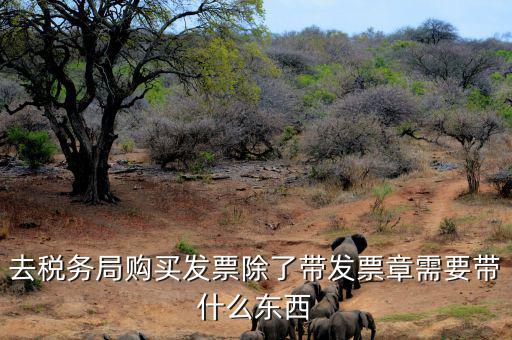 購發(fā)票需要什么資料，個(gè)人購物開增值稅普通發(fā)票需要什么資料