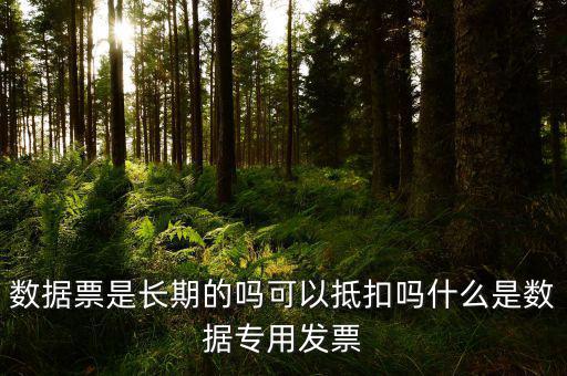 什么是增值稅數(shù)據(jù)票，數(shù)據(jù)發(fā)票是什么意思