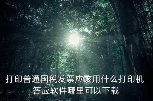 打國稅發(fā)票用什么軟件，打印普通國稅發(fā)票應(yīng)該用什么打印機 答應(yīng)軟件哪里可以下載