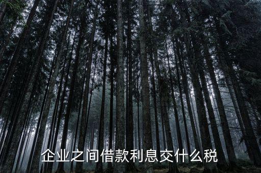 公司借款涉及到什么稅，借款要交什么稅