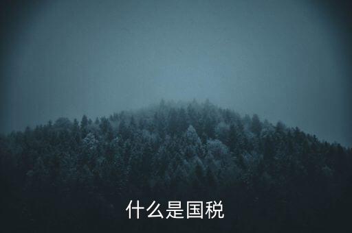2017年國稅是什么，2017年我國財政稅收是多少