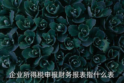 千戶集團財務(wù)報表申報是什么，2015年度財務(wù)報表和申報表指的是啥