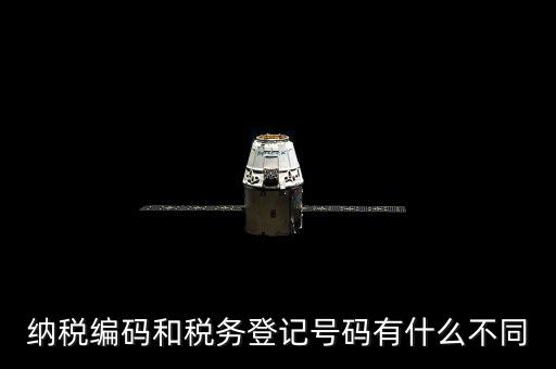 個人納稅編號是什么意思，納稅編碼和稅務登記號碼有什么不同