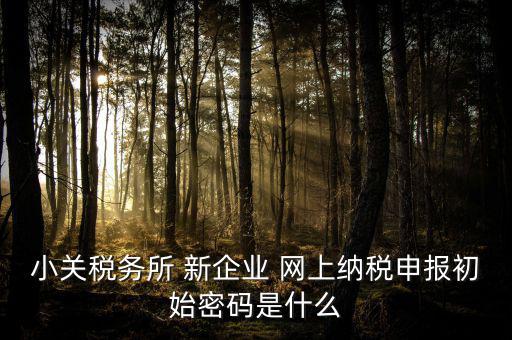 深圳國稅微信預(yù)約密碼是什么意思，小關(guān)稅務(wù)所 新企業(yè) 網(wǎng)上納稅申報初始密碼是什么