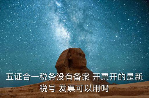 新稅號用到什么，新稅號開的發(fā)票與老稅號開具的發(fā)票有什么不同