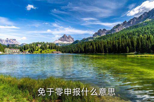 免予零申報(bào)是什么意思，免于零申報(bào)是什么意思