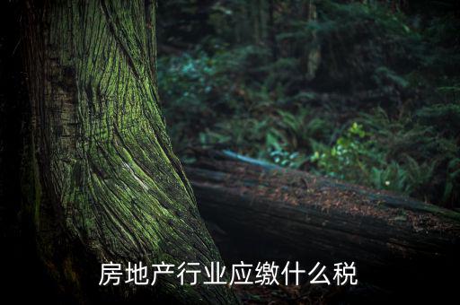 房地產(chǎn)企業(yè)要交什么稅，房地產(chǎn)行業(yè)應(yīng)繳什么稅
