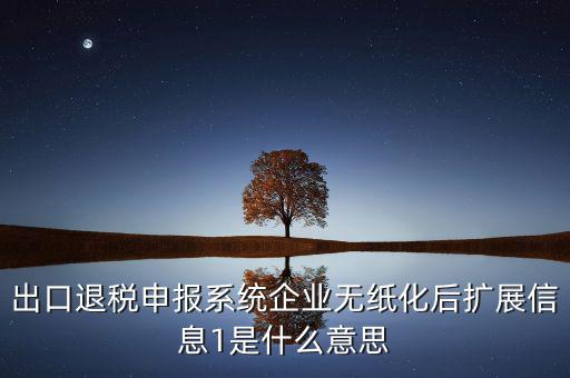 出口退稅申報(bào)系統(tǒng)企業(yè)無紙化后擴(kuò)展信息1是什么意思